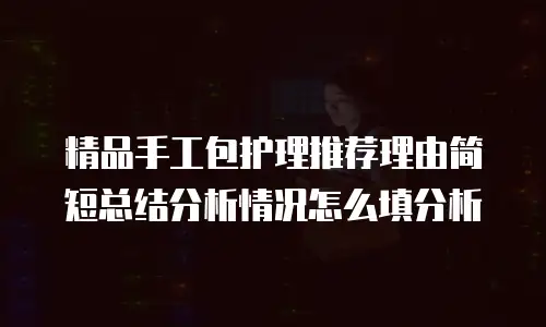 精品手工包护理推荐理由简短总结分析情况怎么填分析