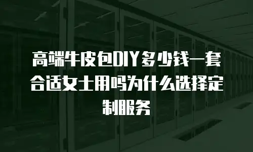高端牛皮包DIY多少钱一套合适女士用吗为什么选择定制服务