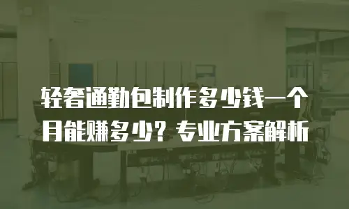 轻奢通勤包制作多少钱一个月能赚多少？专业方案解析