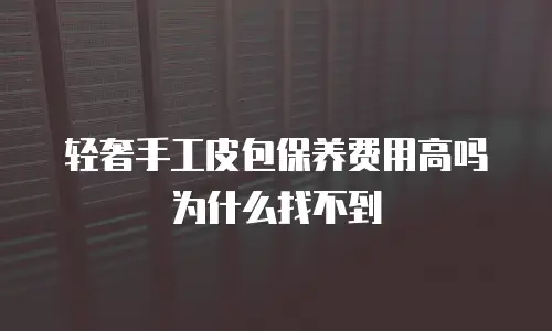 轻奢手工皮包保养费用高吗为什么找不到