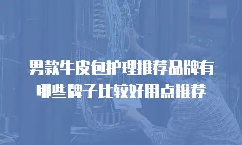 男款牛皮包护理推荐品牌有哪些牌子比较好用点推荐