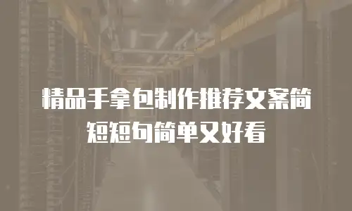 精品手拿包制作推荐文案简短短句简单又好看