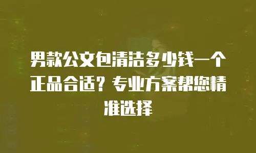 男款公文包清洁多少钱一个正品合适？专业方案帮您精准选择