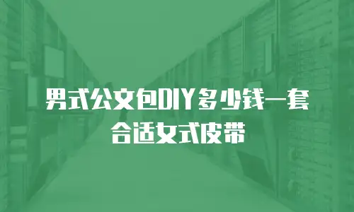 男式公文包DIY多少钱一套合适女式皮带