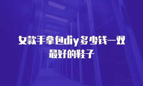 女款手拿包diy多少钱一双最好的鞋子