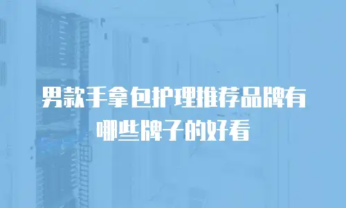 男款手拿包护理推荐品牌有哪些牌子的好看