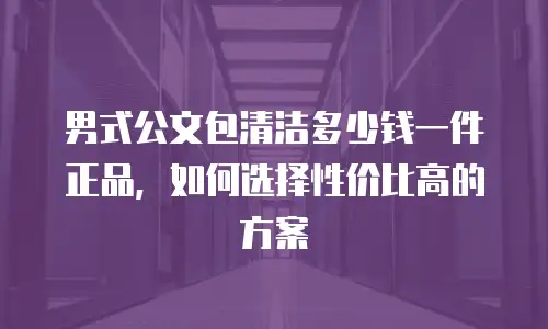男式公文包清洁多少钱一件正品，如何选择性价比高的方案