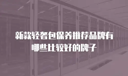 新款轻奢包保养推荐品牌有哪些比较好的牌子