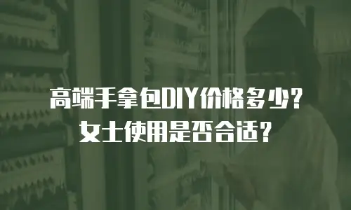 高端手拿包DIY价格多少？女士使用是否合适？