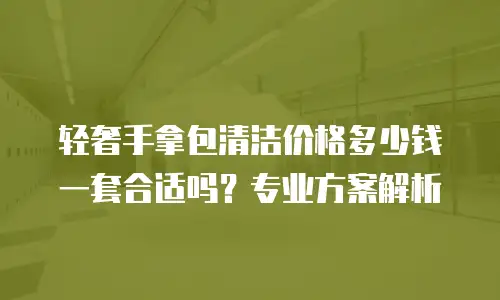 轻奢手拿包清洁价格多少钱一套合适吗？专业方案解析