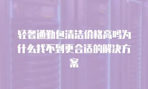 轻奢通勤包清洁价格高吗为什么找不到更合适的解决方案