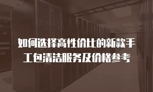 如何选择高性价比的新款手工包清洁服务及价格参考