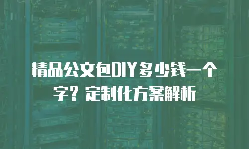 精品公文包DIY多少钱一个字？定制化方案解析