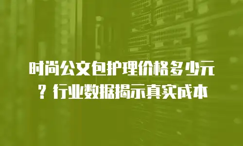 时尚公文包护理价格多少元？行业数据揭示真实成本