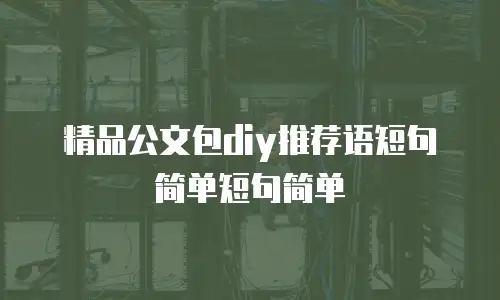 精品公文包diy推荐语短句简单短句简单