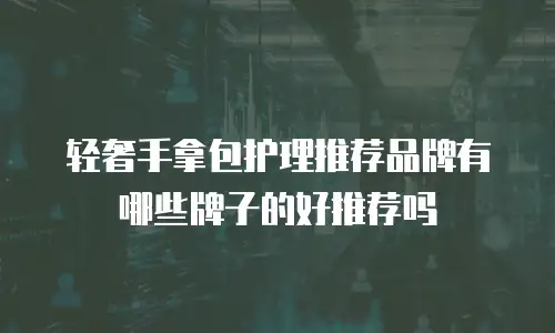 轻奢手拿包护理推荐品牌有哪些牌子的好推荐吗