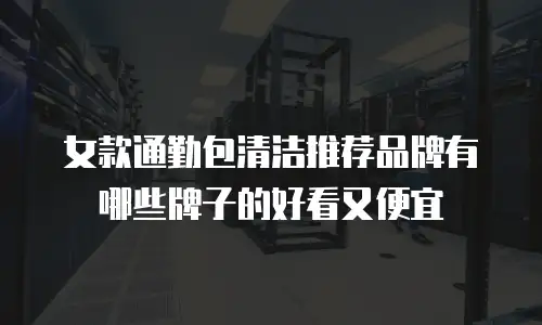 女款通勤包清洁推荐品牌有哪些牌子的好看又便宜