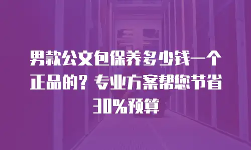 男款公文包保养多少钱一个正品的？专业方案帮您节省30%预算