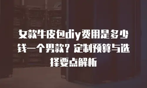 女款牛皮包diy费用是多少钱一个男款？定制预算与选择要点解析
