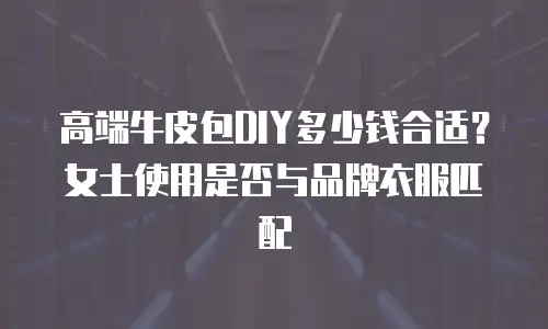 高端牛皮包DIY多少钱合适？女士使用是否与品牌衣服匹配