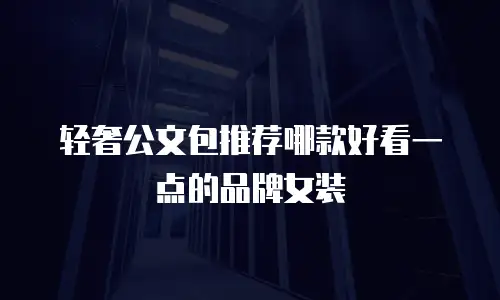 轻奢公文包推荐哪款好看一点的品牌女装