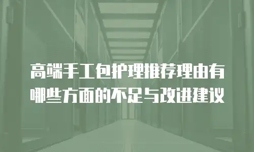 高端手工包护理推荐理由有哪些方面的不足与改进建议