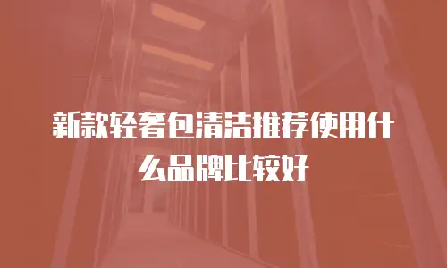 新款轻奢包清洁推荐使用什么品牌比较好