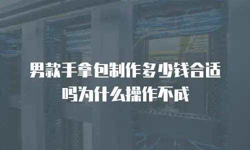 男款手拿包制作多少钱合适吗为什么操作不成