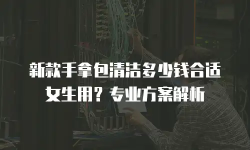 新款手拿包清洁多少钱合适女生用？专业方案解析