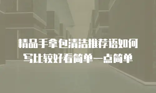 精品手拿包清洁推荐语如何写比较好看简单一点简单