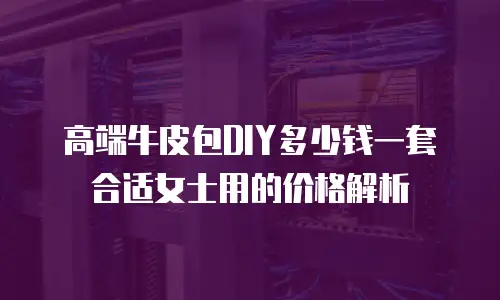高端牛皮包DIY多少钱一套合适女士用的价格解析