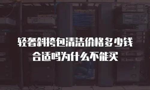 轻奢斜挎包清洁价格多少钱合适吗为什么不能买
