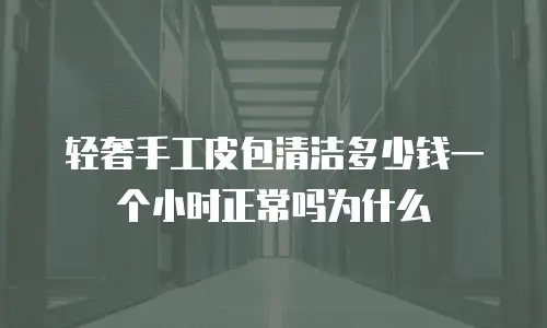 轻奢手工皮包清洁多少钱一个小时正常吗为什么