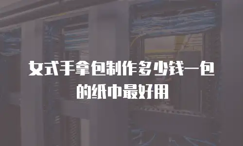 女式手拿包制作多少钱一包的纸巾最好用