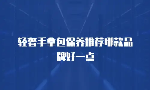 轻奢手拿包保养推荐哪款品牌好一点
