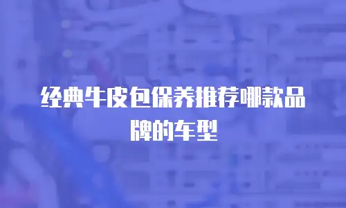 经典牛皮包保养推荐哪款品牌的车型