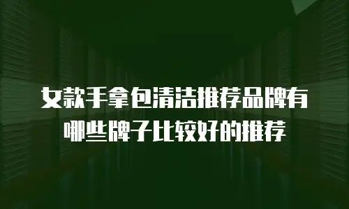女款手拿包清洁推荐品牌有哪些牌子比较好的推荐