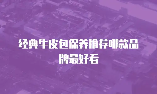 经典牛皮包保养推荐哪款品牌最好看