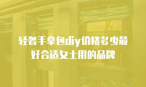 轻奢手拿包diy价格多少最好合适女士用的品牌