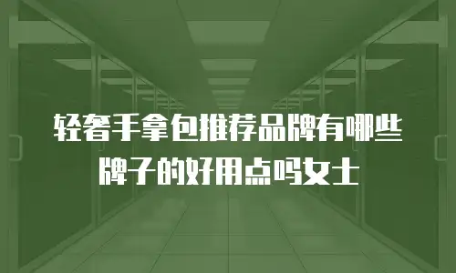 轻奢手拿包推荐品牌有哪些牌子的好用点吗女士