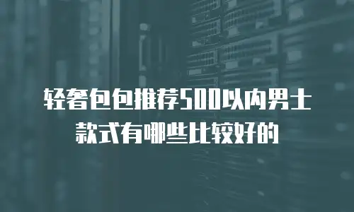 轻奢包包推荐500以内男士款式有哪些比较好的