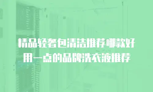 精品轻奢包清洁推荐哪款好用一点的品牌洗衣液推荐