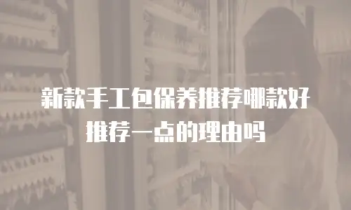 新款手工包保养推荐哪款好推荐一点的理由吗