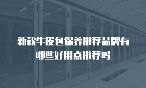 新款牛皮包保养推荐品牌有哪些好用点推荐吗