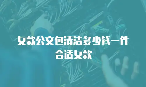女款公文包清洁多少钱一件合适女款