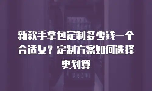新款手拿包定制多少钱一个合适女？定制方案如何选择更划算