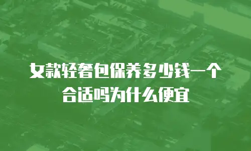 女款轻奢包保养多少钱一个合适吗为什么便宜