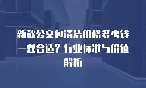 新款公文包清洁价格多少钱一双合适？行业标准与价值解析