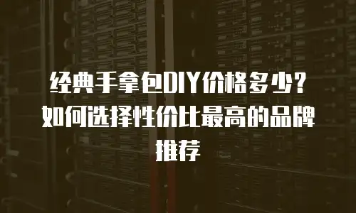 经典手拿包DIY价格多少？如何选择性价比最高的品牌推荐