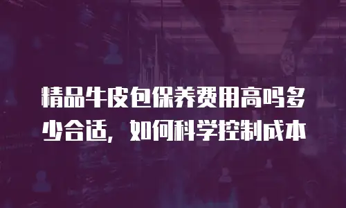 精品牛皮包保养费用高吗多少合适，如何科学控制成本
